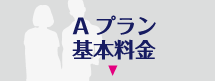 Aプラン基本料金