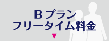 Bプランフリータイム料金